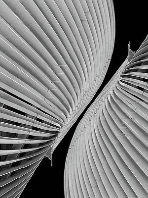 Metal Butterfly