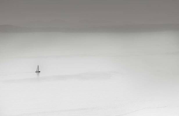 Into the White — black and white photograph by Jim Signorelli