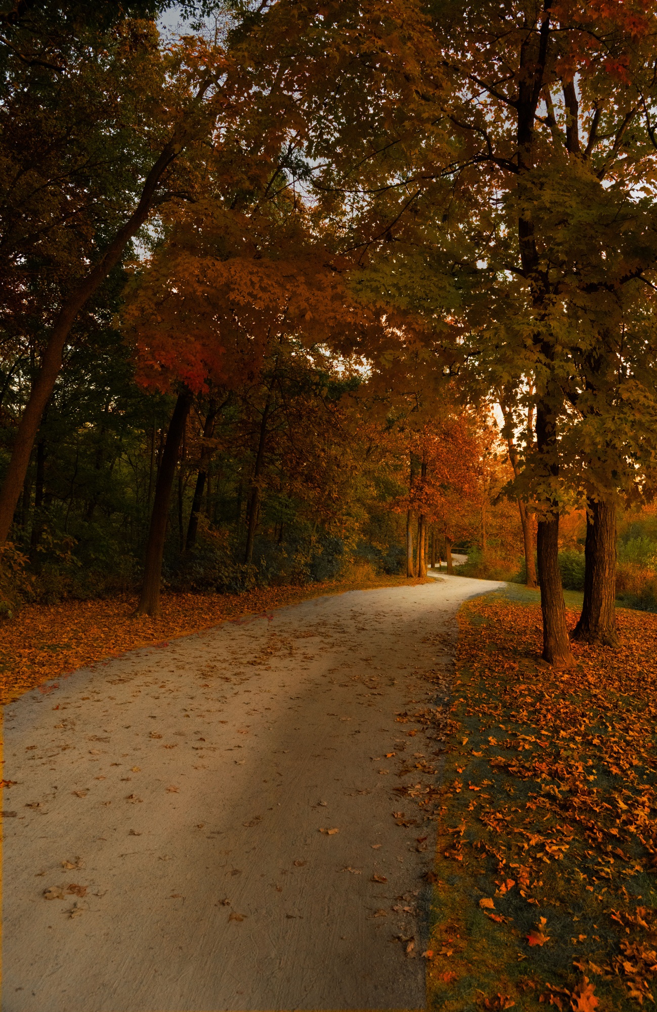 Autumn Path