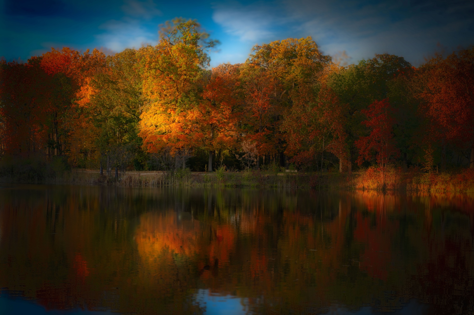 Autumn Pond