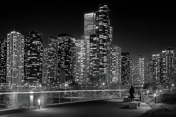 Black and White Architectural Print, City Lights