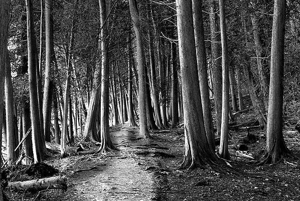 Alone — black and white photograph by Jim Signorelli