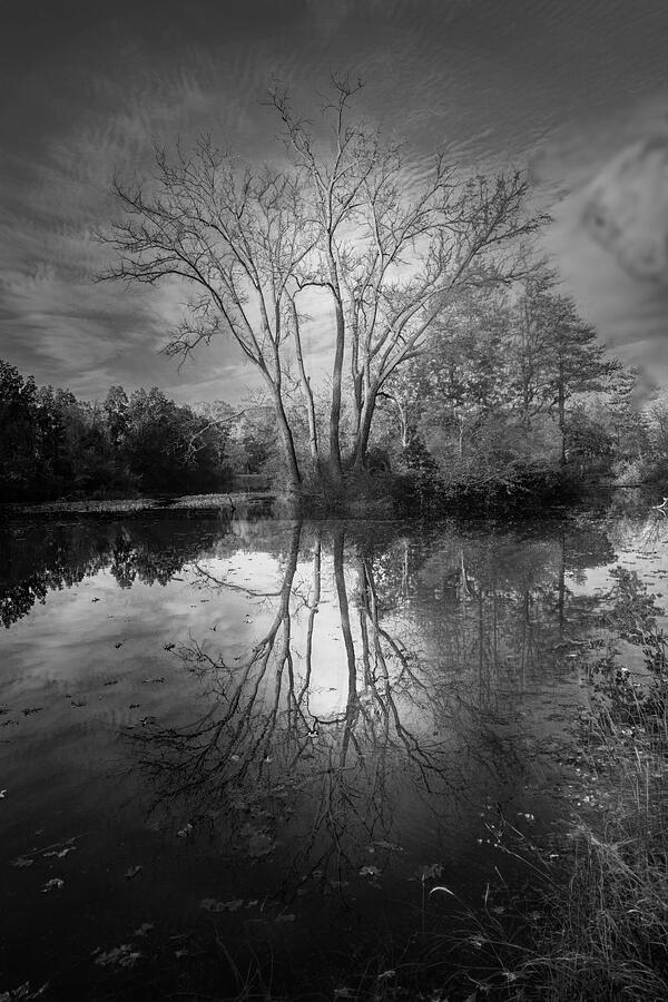 Serene Black and White Landscape