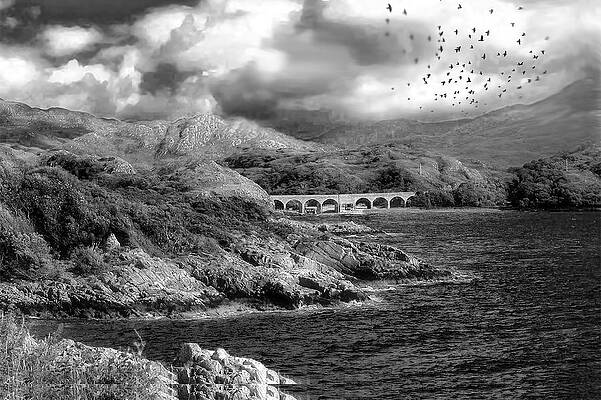 Scotland Highland Scene — black and white photograph by Jim Signorelli